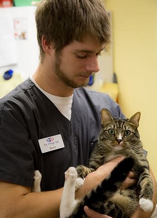 village vets of buckhead